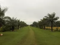 Vendo hacienda con terreno de 200.5 hectáreas (495.4 acres) en Paradiso Panamá